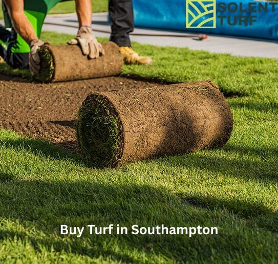 Buy Turf in Southampton: The Complete Guide to a Lush, Long-Lasting Lawn