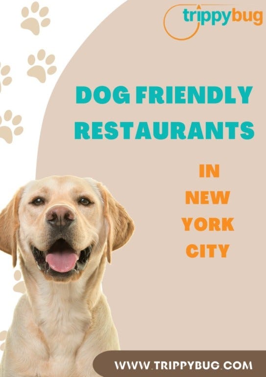 Dog Friendly Restaurants in New York City | by lakshaytrippyy | Jul