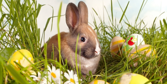 Easter vs Ostara: or the Awakening Waters of Spring