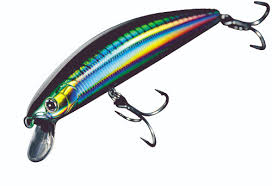 Surf Fishing Hawaii  What Lure. What Lure  Chapter 1 | by 12MM | Medium