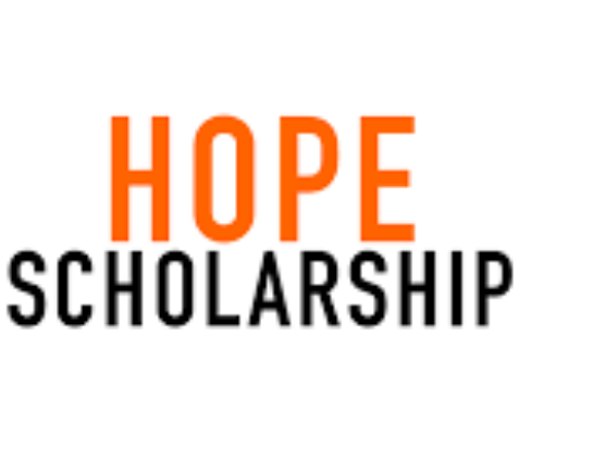 How To Apply For HOPE Scholarship In Tennessee By Martina Recolvice How To Apply For HOPE Scholarship In Tennessee By Martina Recolvice