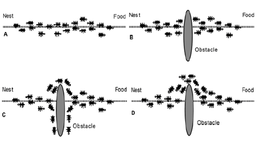 Ant Colony Optimization