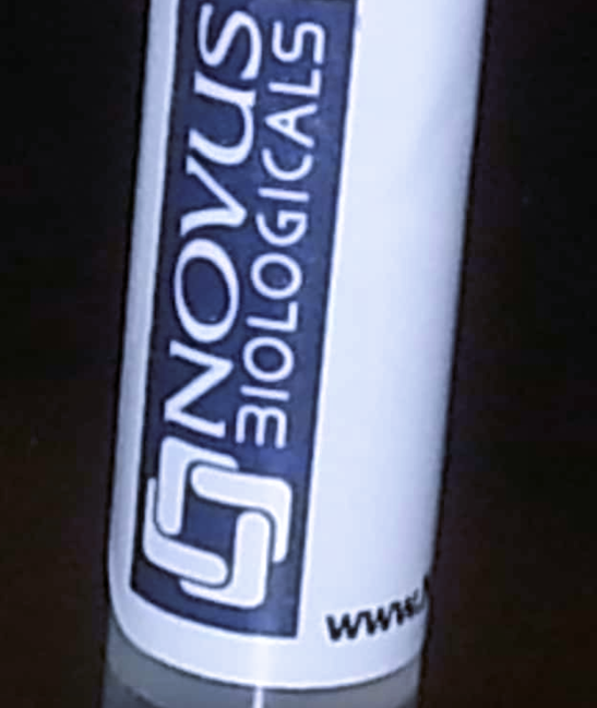 HLA-DR Antibody (37.68), Alexa Fluor 405, Novus Biologicals