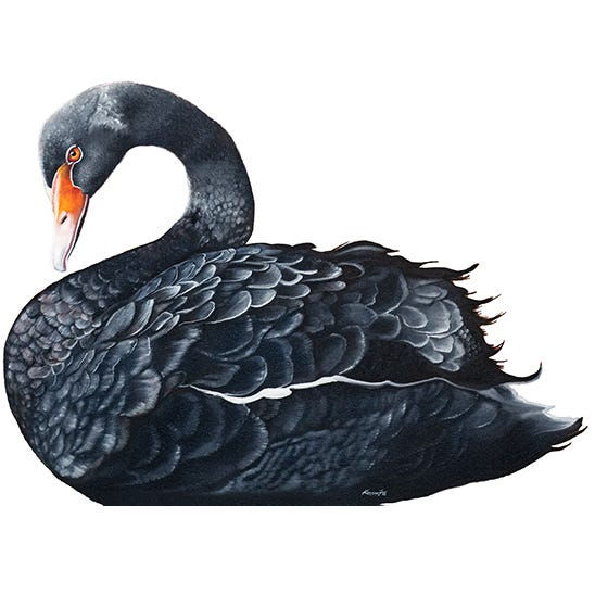 Navigating Black Swan Events. Financial literacy preparedness for
