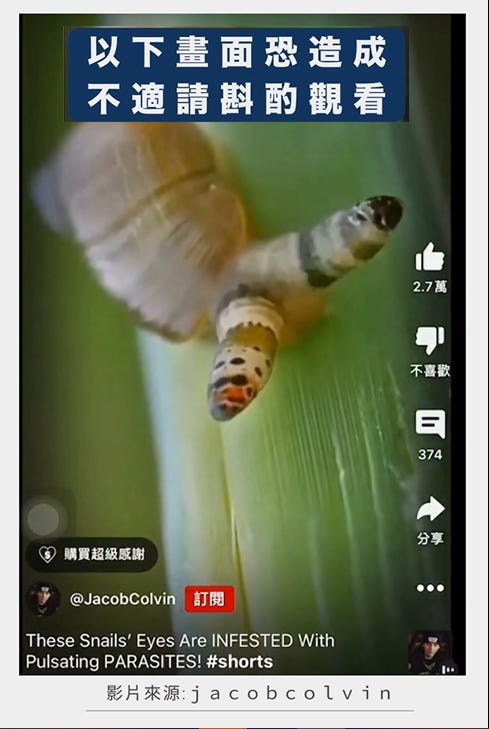 raw-image