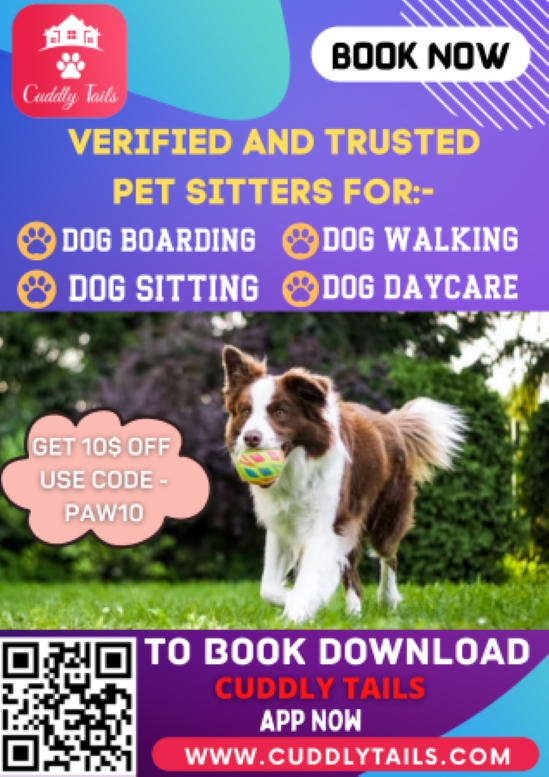 Best Dog Daycare in North Charleston, SC Cuddlytails Medium