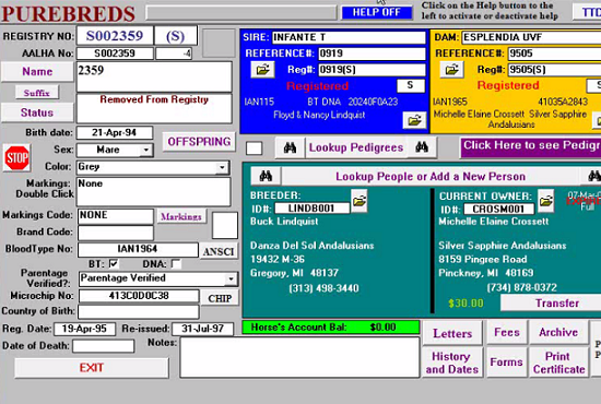MS Access Consultant