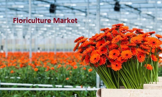Floriculture Market is expected to reach USD 109.5 Billion in 2035