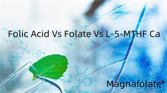 Folic Acid Vs Folate Vs L-5-MTHF Ca | by Magnafolate | Medium