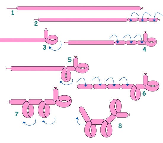 How to Tie a Balloon Dog: Time-Based Instruction | by Courtney Conner |  Medium