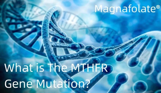 What Is The MTHFR Gene Mutation?. The Most Well Studied Gene In Terms ...