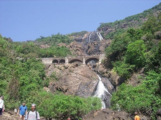 Explore the Majestic Dudhsagar Falls in Goa