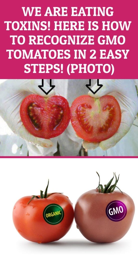 WE ARE EATING TOXINS! HERE IS HOW TO RECOGNIZE GMO TOMATOES IN 2 EASY