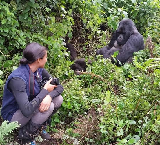 Rwanda Gorilla Trekking Tour Itinerary: An Unforgettable Wildlife Adventure