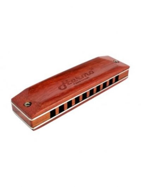 Which Harmonica to Buy to Know HARMONICALAND Medium