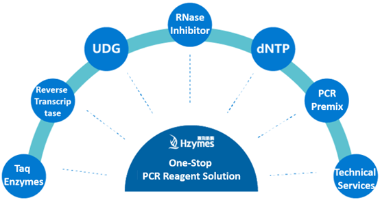 Supporting Chikungunya Virus Diagnostics with One-Stop Molecular Solutions
