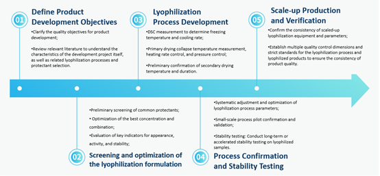Development Workflow of Lyophilized Products