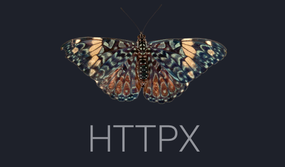 Parallel HTTP requests in Python with httpx | by Chris Karvouniaris ...