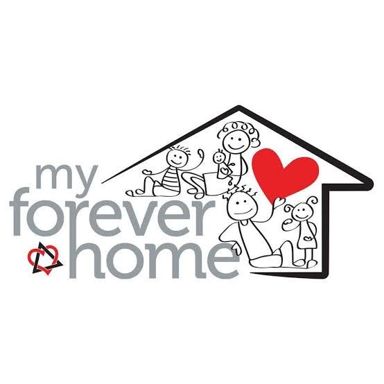 Discovering My Forever Home. I never thought much about the concept ...