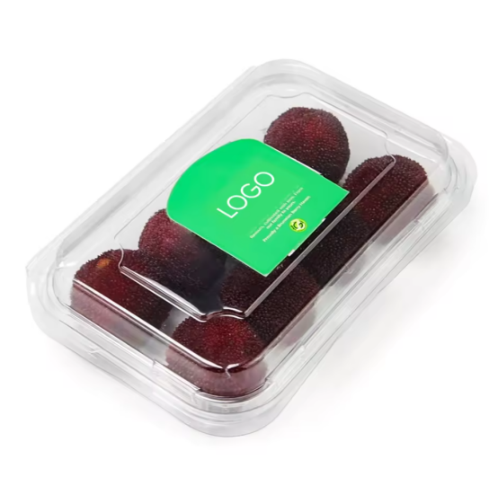 Clamshell Packaging: Combining Protection, Visibility, and Convenience