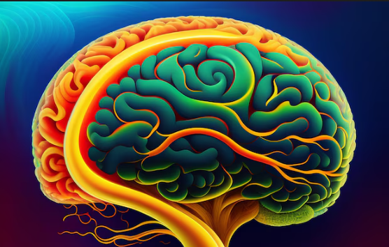 *153* Biology 6/8 Structure Is Not Life: The Hidden Conditions That Define Living Systems!