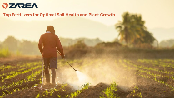 Top Fertilizers for Optimal Soil Health and Plant Growth