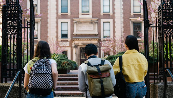Over 18 Lakh Indian Students Study Abroad; MEA Highlights Support and Safety Measures