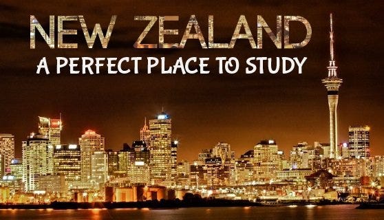 Top Reasons To Study In New Zealand | by Study Smart | Medium