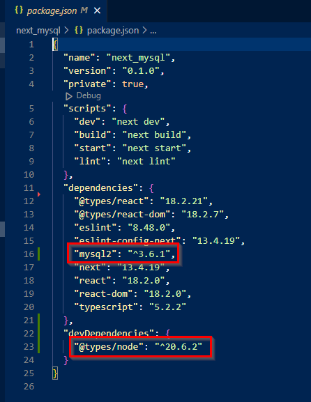 package.json file