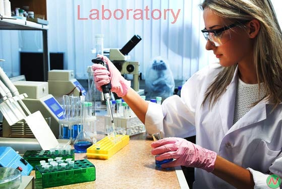 what-is-laboratory-equipment-dictionary-ziebaq-technology-medium