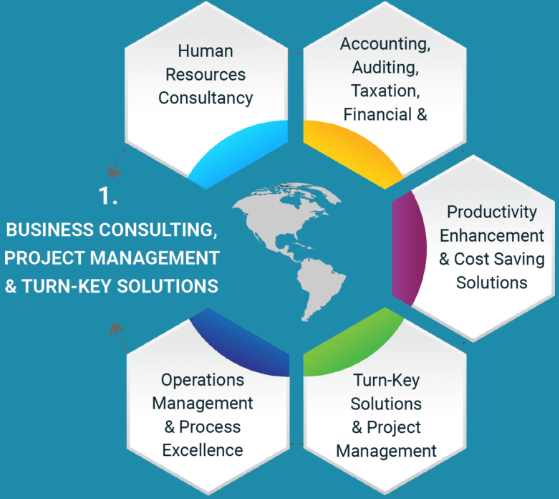 Navigating Business Success: Comprehensive Solutions from Expert Consultants