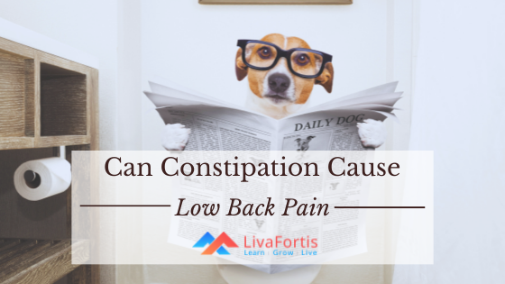 Can Constipation Cause Low Back Pain?