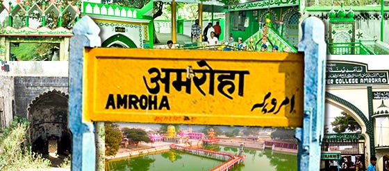 Amroha seat