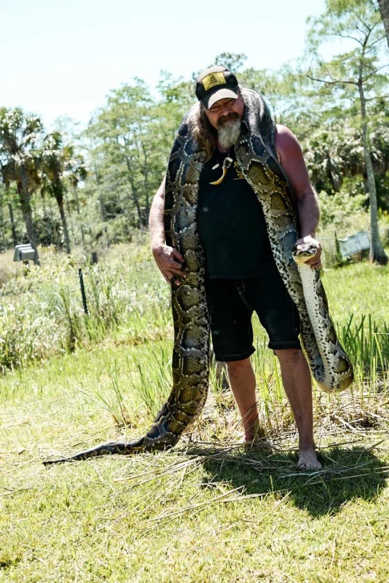 The Great Florida Python Hunt is Now Underway | by Randy Masters | Medium