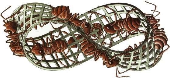 Swarm Intelligence: Evaluating Success, Learning, and Code Optimization (Part 2) Swarm Intelligence: Evaluating Success, Learning, and Code Optimization (Part 2)