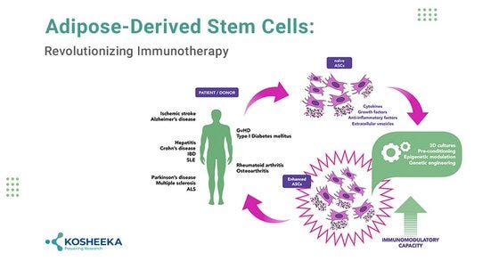 Adipose-Derived Stem Cells: Revolutionizing Immunotherapy | By Kosheeka ...