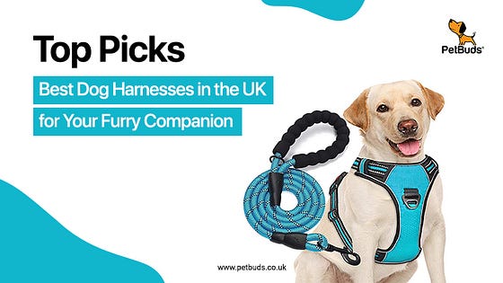 Top Picks Best Dog Harnesses in the UK for Your Furry Companion