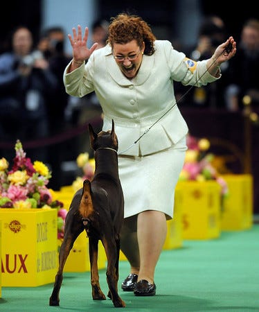 They’re Wearing What? Dog Show Handlers Edition