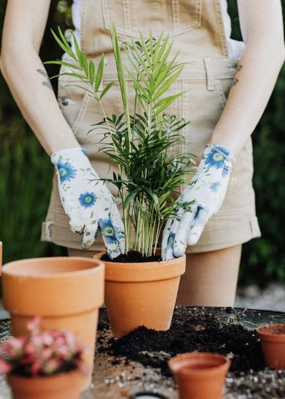 Cultivating Tranquility: The Art and Science of Gardening  by GreenThumb Haven  Apr, 2024  Medium