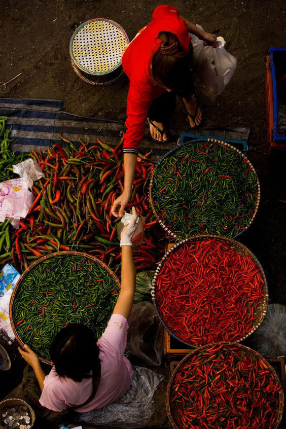 Exploring the Fiery World of Chilli: A Comprehensive Guide - 365spicery 