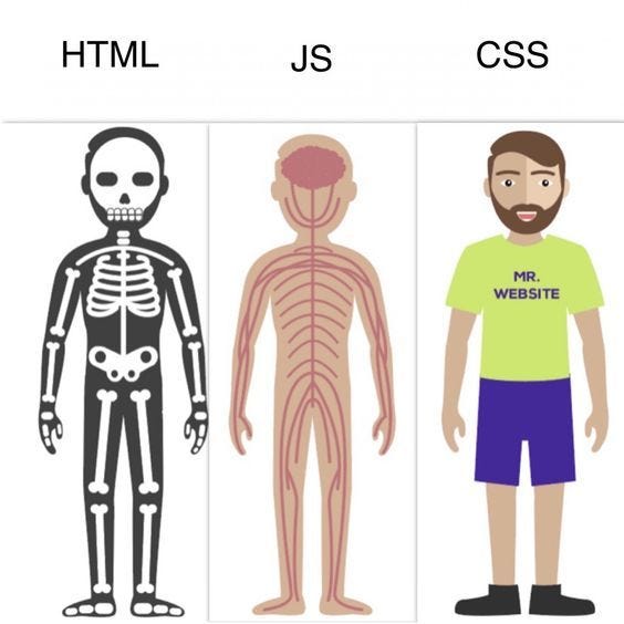 What the heck is HTML & CSS?. Learning Web Development the right way. | by  Anas Ansari | Medium