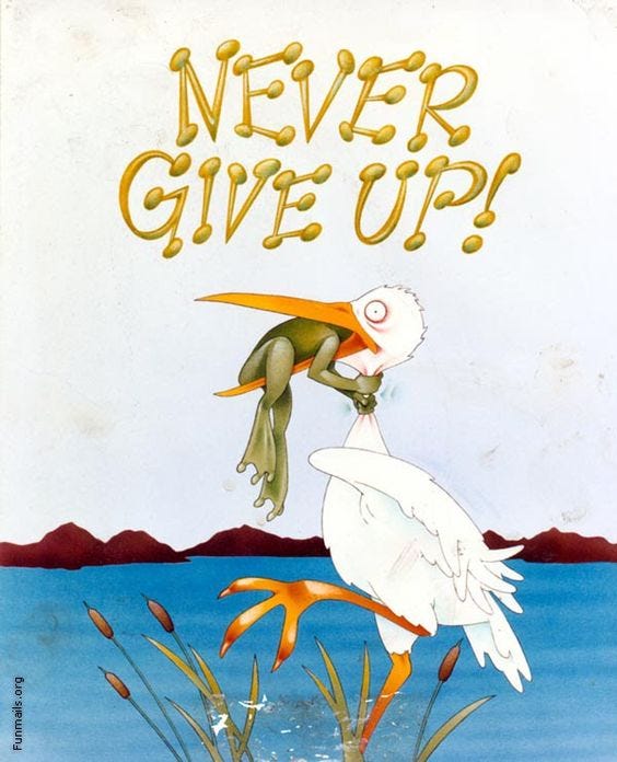 Never Give Up Frog Choking Bird