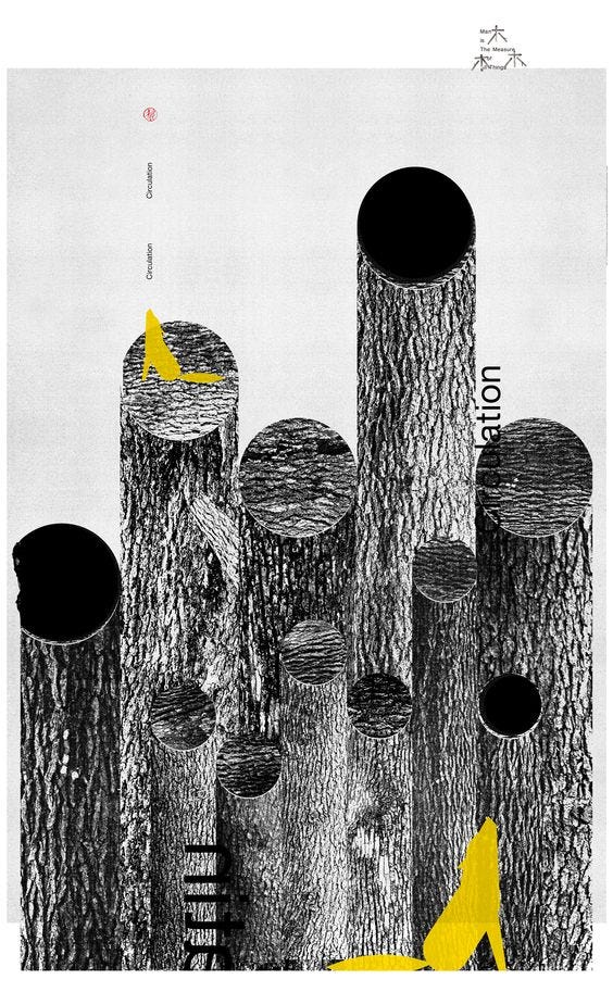 Assignment 5 Visual Book. We watched a TED Talk by Chip Kidd who… by