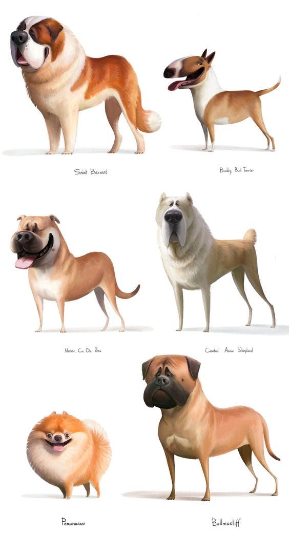 Dog Breed Identifier App. Do you try to guess the breed of dog… by