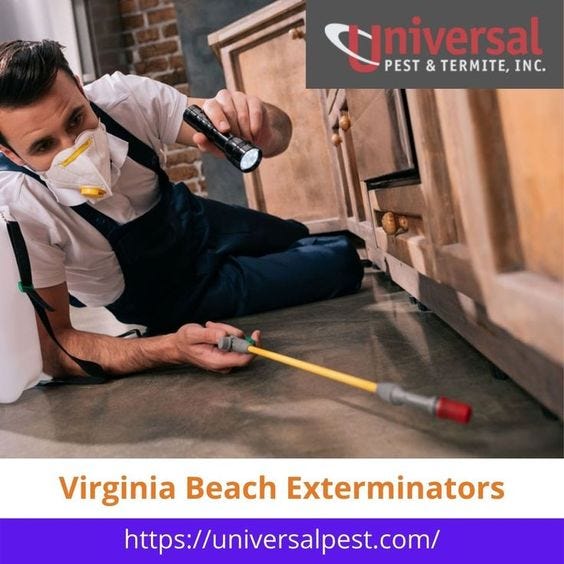 How to Choose the Best Virginia Beach Exterminators by