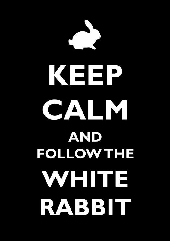 White Rabbit 3: Further Down The Rabbit Hole | by Rinse and Repeat | Medium