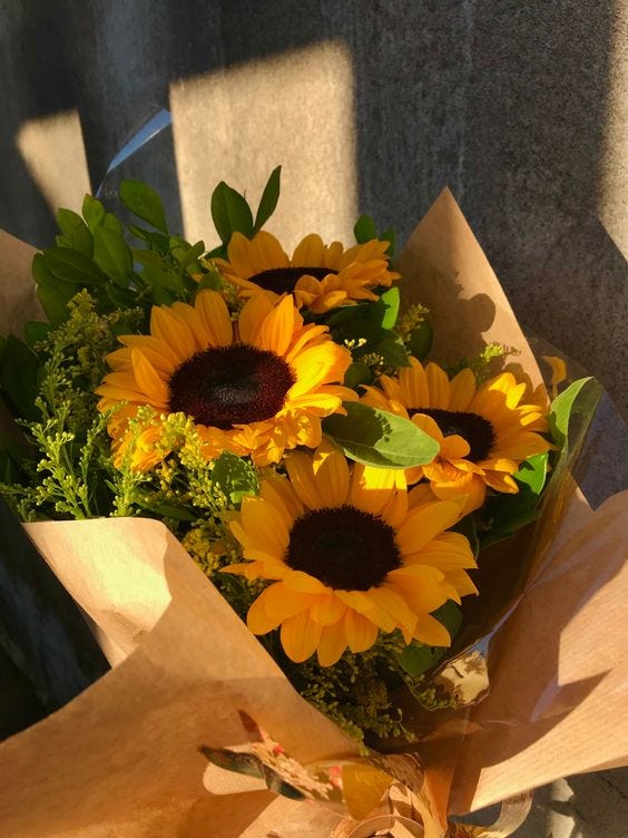 Flowers need time to bloom. So do you. aaxn._.jjr Medium