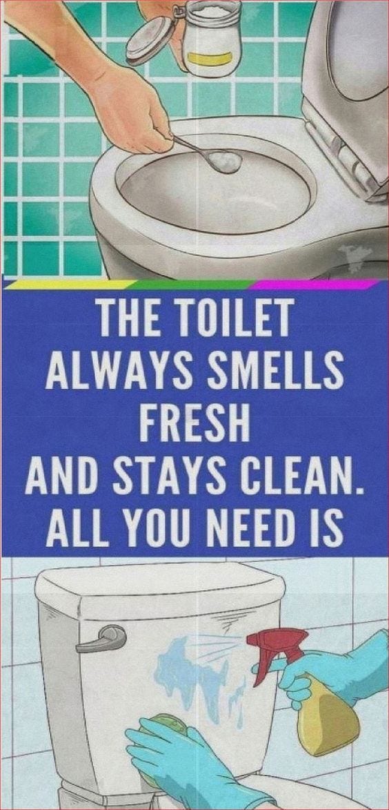The Toilet Always Smells Fresh And Stays Clean. All You Need Is This