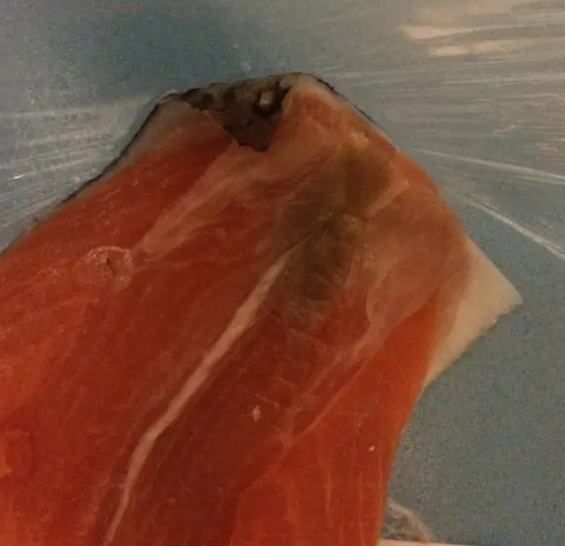 why does my salmon have a brown stripe