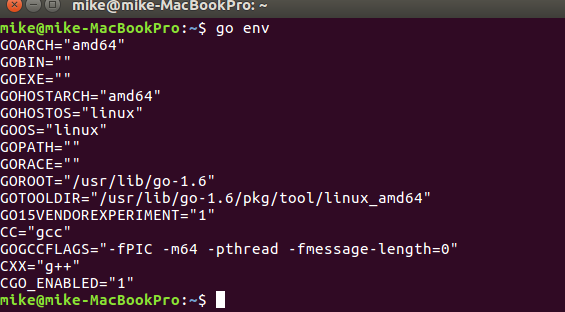 Go: Development setup and overview | by iOSTom | LearningGo | Medium